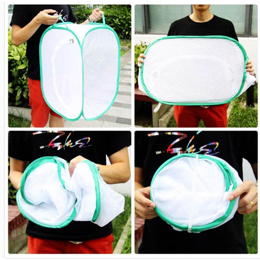 Green Collapsible Insect Cage  - Green Screen Collapsible avaliação e preço