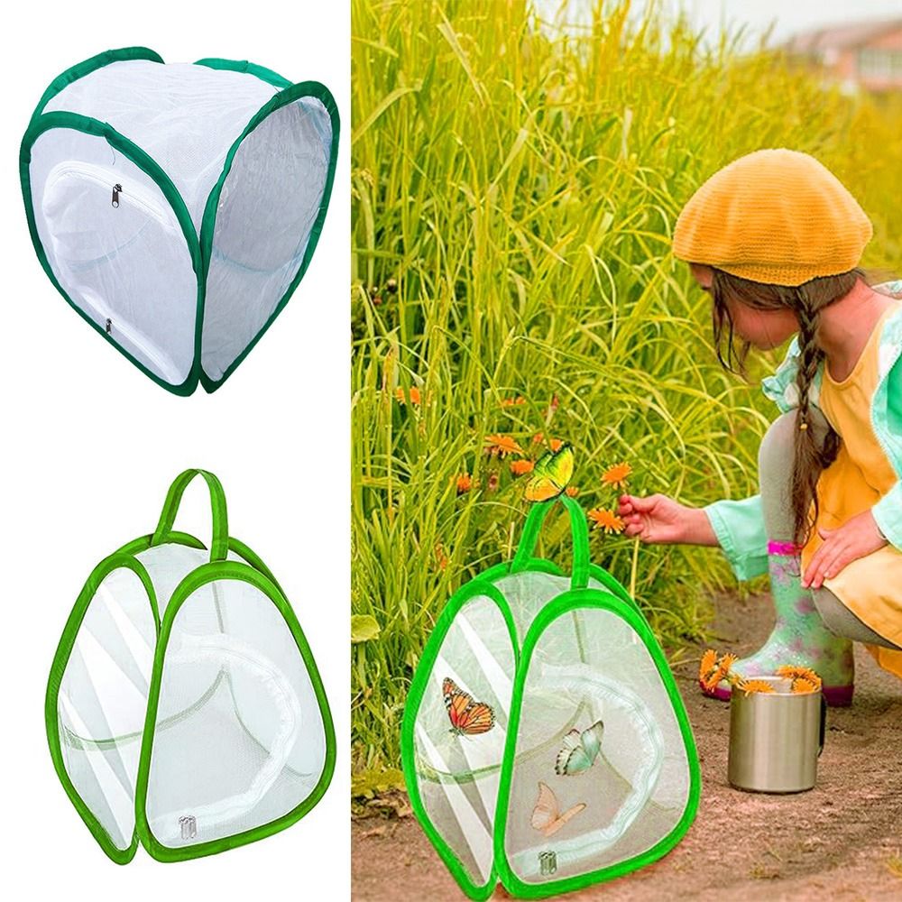 Green Collapsible Insect Cage  - Green Screen Collapsible avaliação e preço
