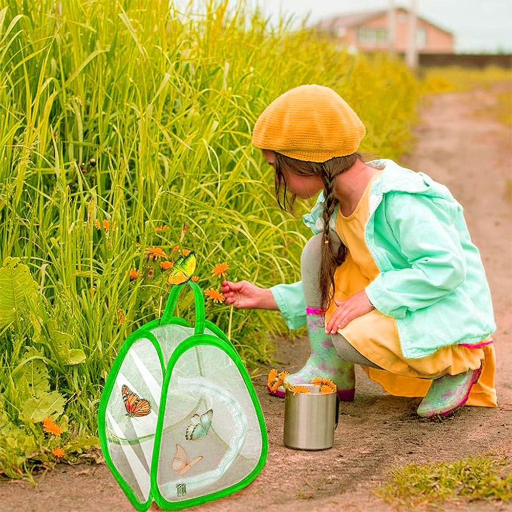 Green Collapsible Insect Cage  - Green Screen Collapsible avaliação e preço