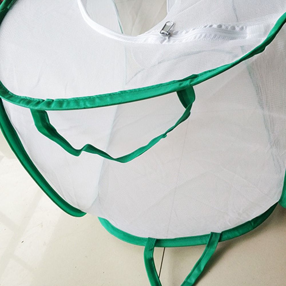 Green Collapsible Insect Cage  - Green Screen Collapsible avaliação e preço