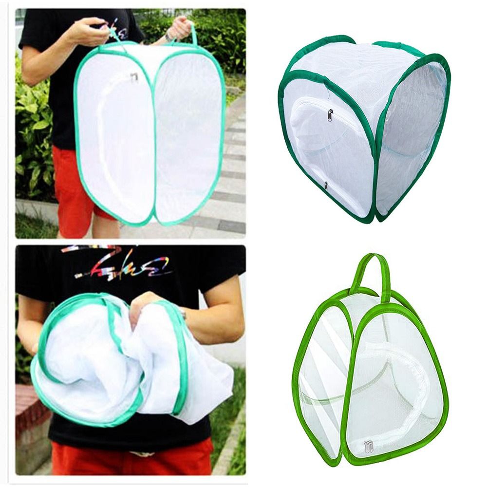 Green Collapsible Insect Cage  - Green Screen Collapsible avaliação e preço
