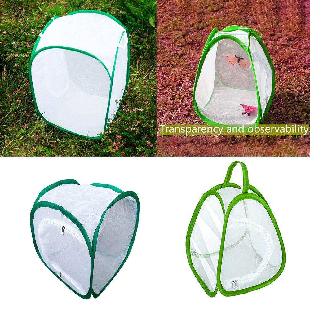 Green Collapsible Insect Cage  - Green Screen Collapsible avaliação e preço