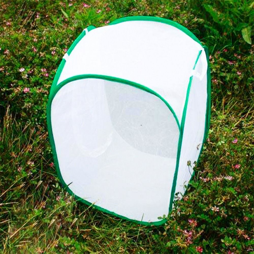 Green Collapsible Insect Cage  - Green Screen Collapsible avaliação e preço